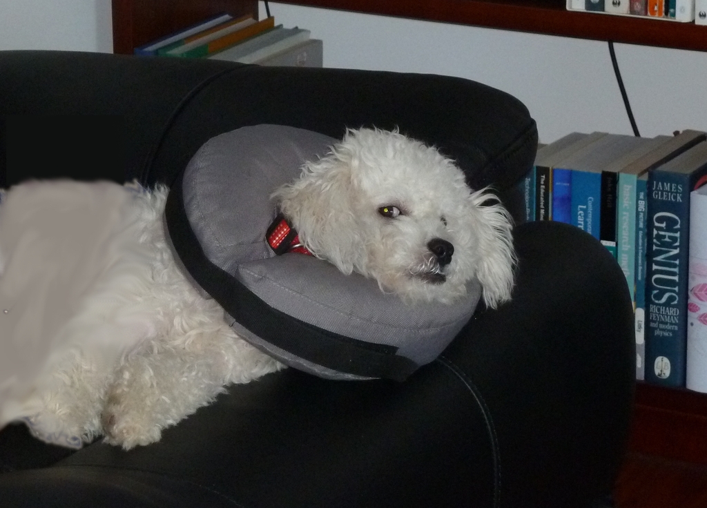 The cruelty never stops