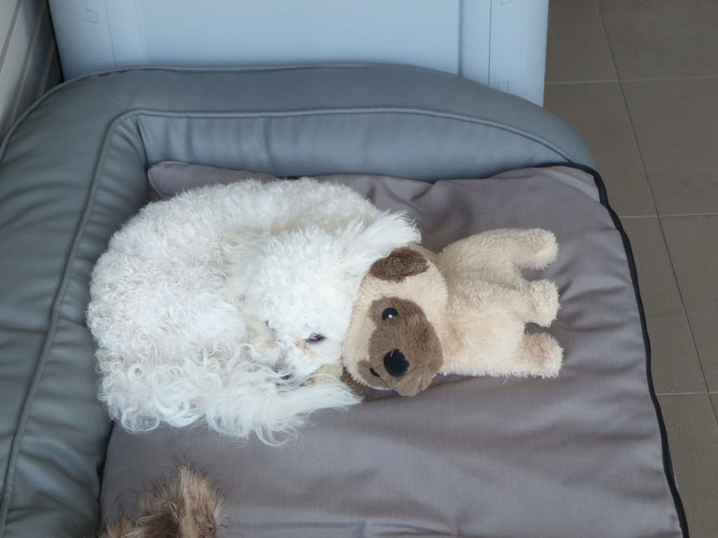 This one doesn't snore