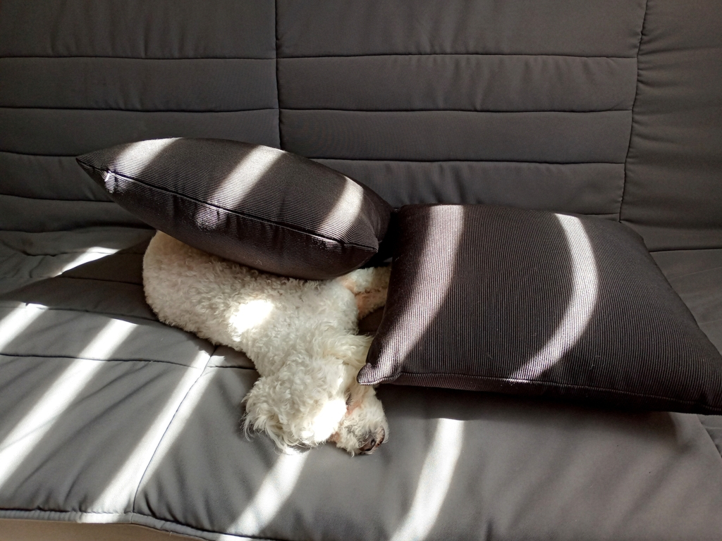 My only blanket